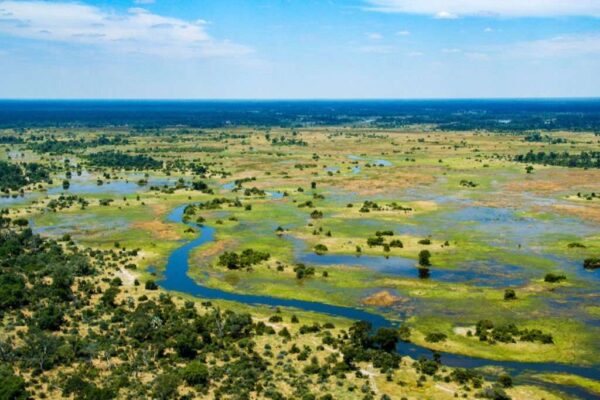 Okavango Plain, Botswana