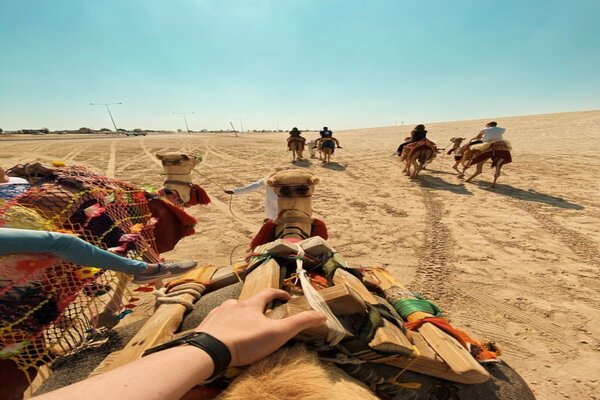 Camel Ride In The Desert, Doha