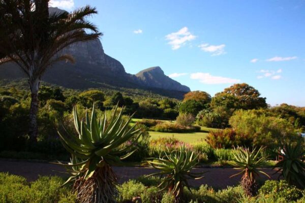 Kirstenbosch Botanic Gardens in Cape Town, South Africa
