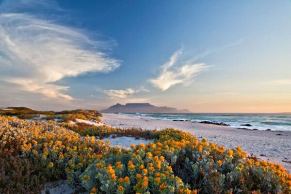 Scenic view of table mountain, Cape Town, South Africa