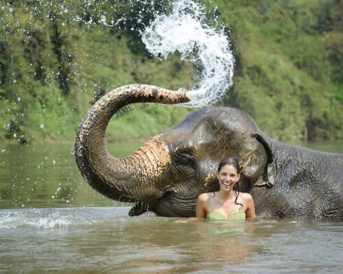 Woman bathing with an Elephant, Tropical Rain Forest