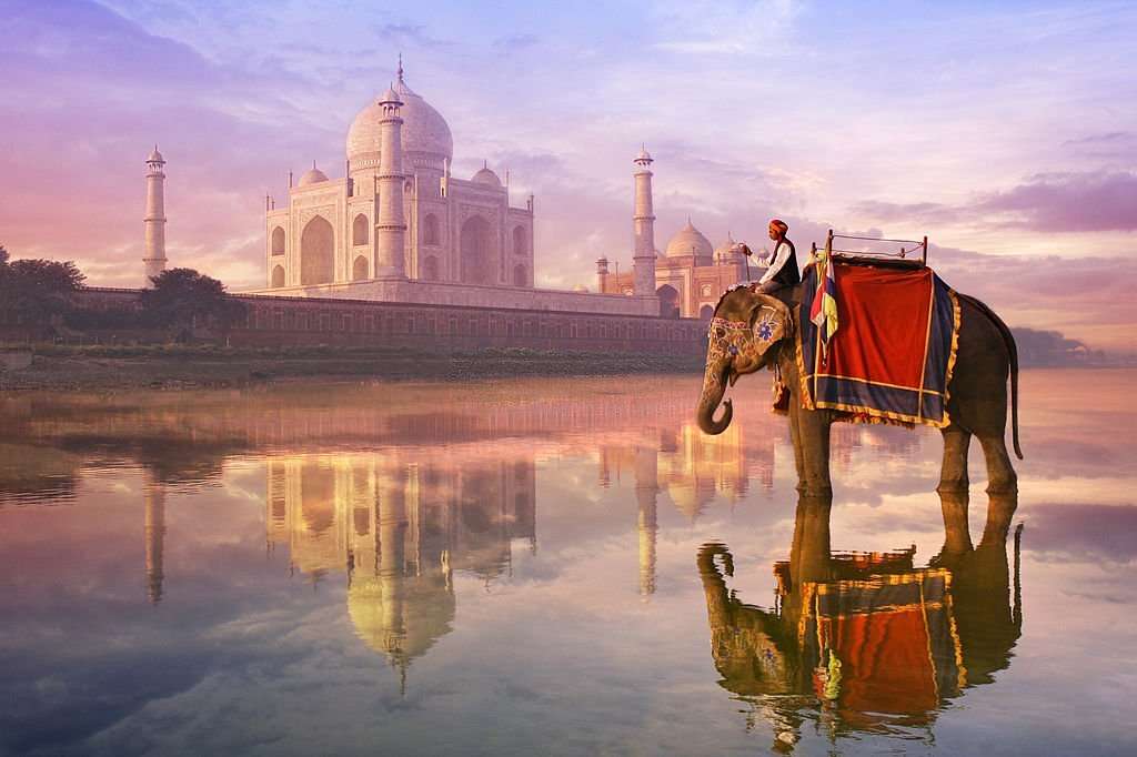 Elephant & rider at Taj Mahal, India