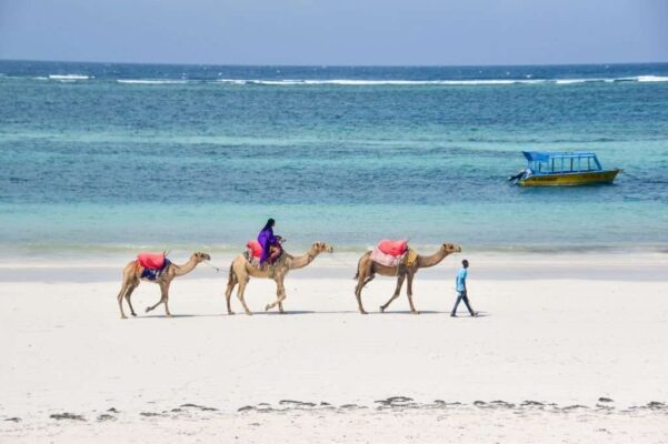 Stunning image of people riding camels along the coastline of Diani Beach, Kenya