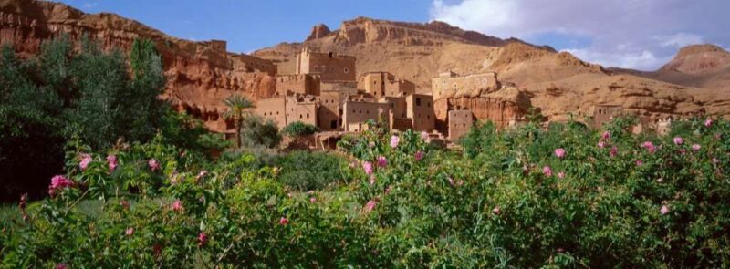Tourbist in Roses valley, Morocco
