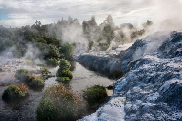 Steam through the landscape from the fumaroles, geysers and hot springs of Whakarewarewa Thermal Park in Rotorua, New Zealand.