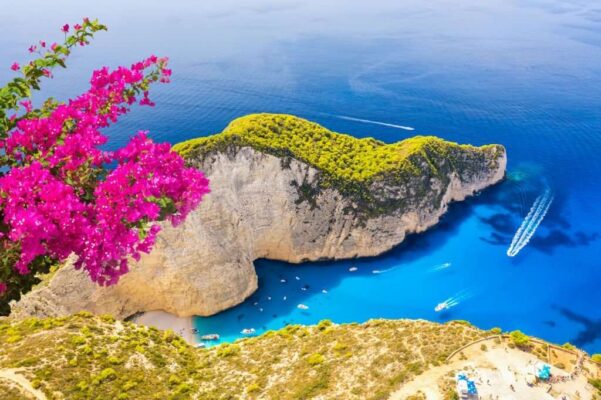 Famous Shipwreck Navagio Beach with pink Bougainvillea flower on Zakynthos island, Greece