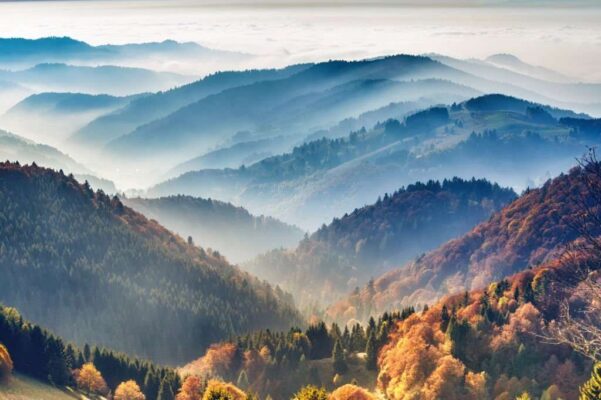 View on the Black Forest, Germany, covered in fog