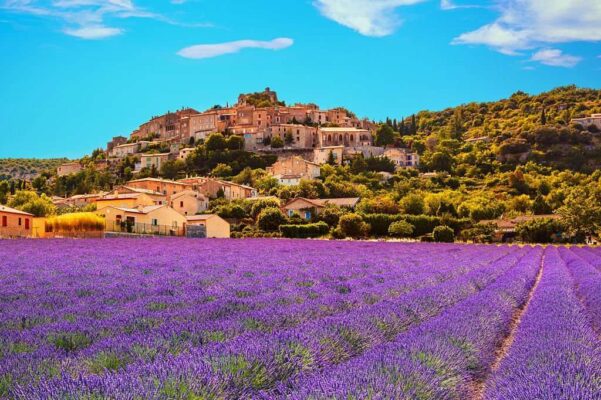 Simiane la Rotonde village and lavender, Provence, France