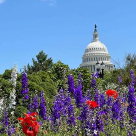 17 Top Tourist Attractions & Things to Do in Washington, D.C