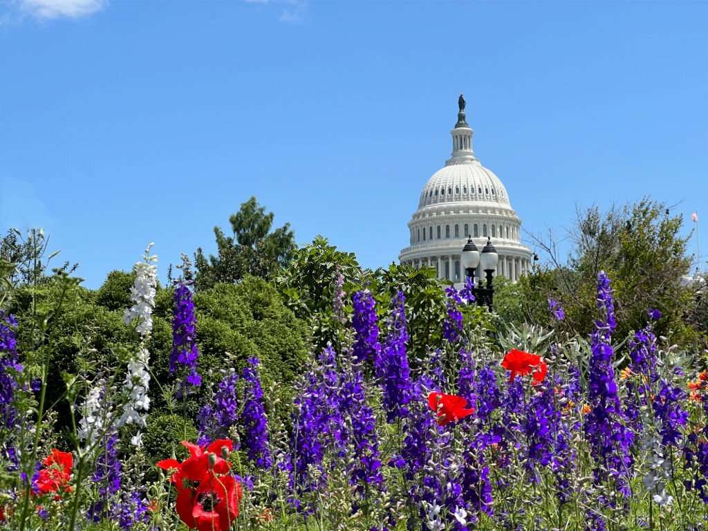 17 Top Tourist Attractions & Things to Do in Washington, D.C