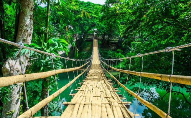 Bamboo Hanging Bridge