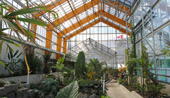 Greenhouse in Gage Park