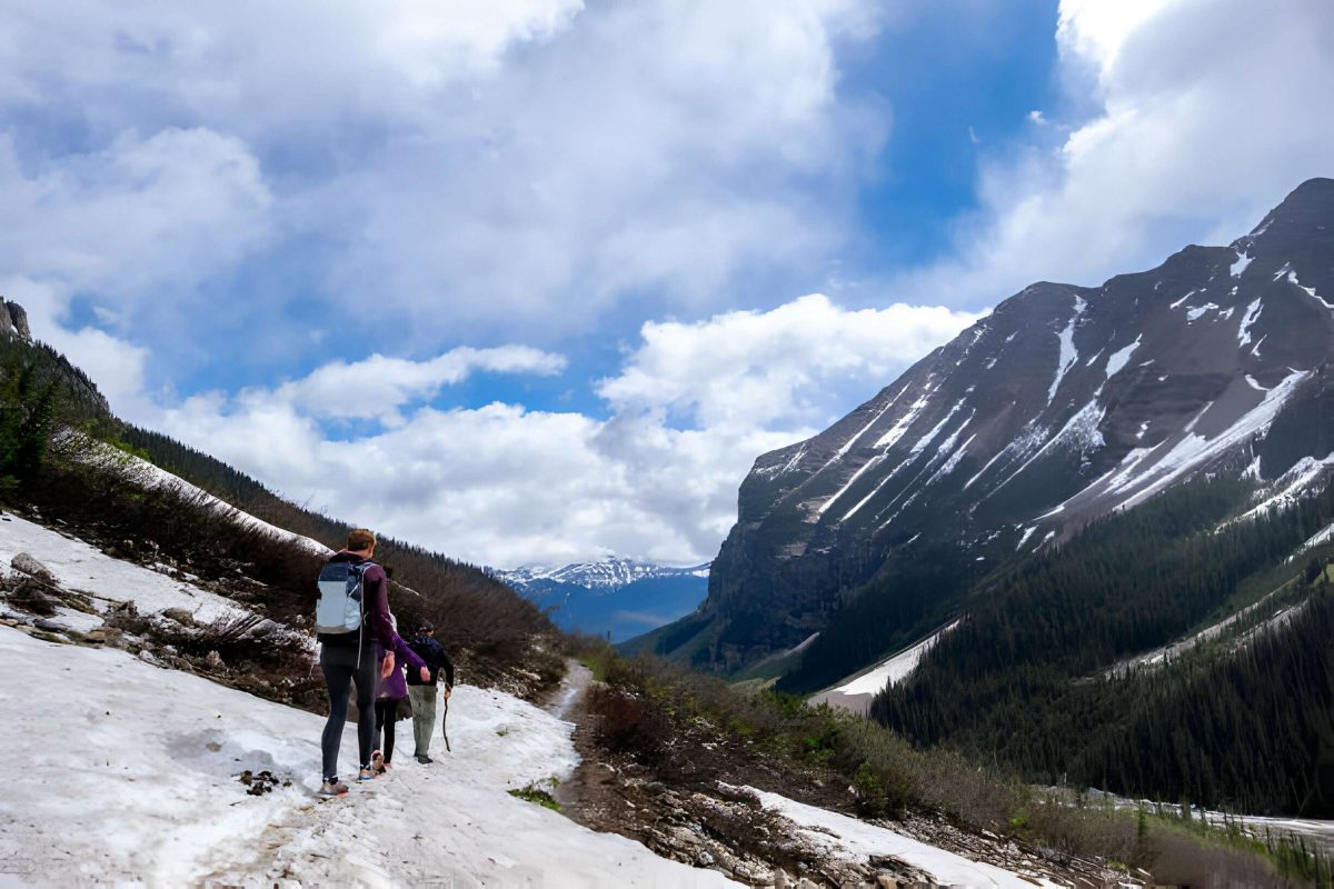 9 Best Trails and Hikes in Lake Louise