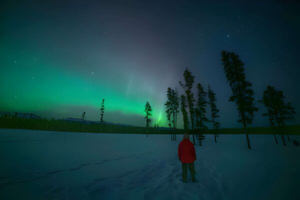 Watch the Northern Lights