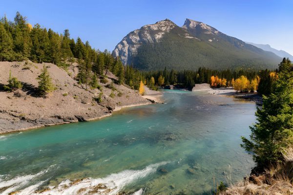 Bow River in Lake Louise Campground